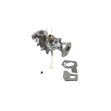 CARBURATEUR BRIGGS & STRATTON - Réf. :495459