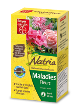 MALADIE FLEURS - 40G (8X5G)