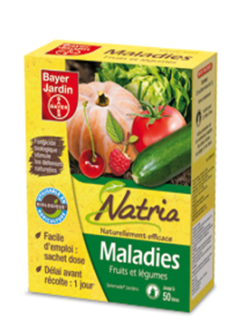 MALADIES FRUITS LEGUMES -100G (20X5G)