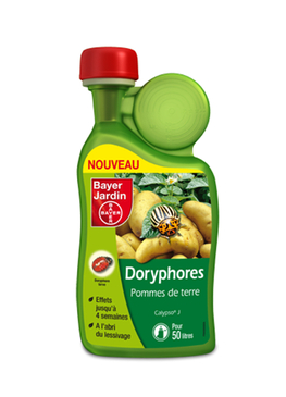 DORYPHORES - 500ML