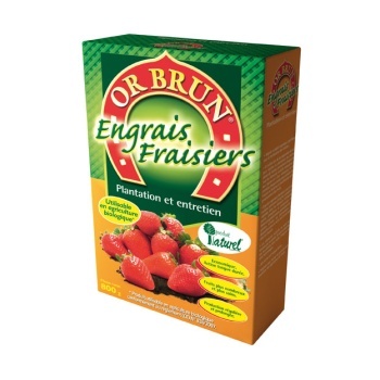 ENGRAIS GRANULES FRAISIERS - 800GR