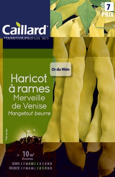 GRAINES DE HARICOTS A RAMES - VARIETES DIVERSES - 200G