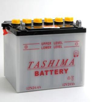 BATTERIE POUR AUTOPORTEE - 3A 12V 24AH